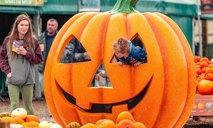 Pumpkin Fest